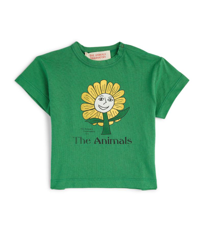 The Animals Observatory Cotton Sunflower T-shirt (6-18 Months) In Green