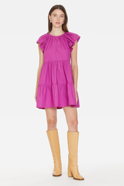 Marie Oliver Kara Dress In Viola