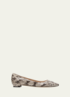 Manolo Blahnik Bb Snake-embossed Ballerina Flats In Multi