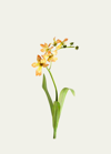 Tommy Mitchell Original Painted Freesia Study In Multi