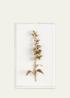 Tommy Mitchell Original Gilded Foxglove Study On Linen In Gold