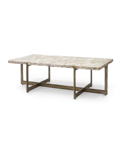 Palecek Durham Fossilized Clam Coffee Table In Neutral