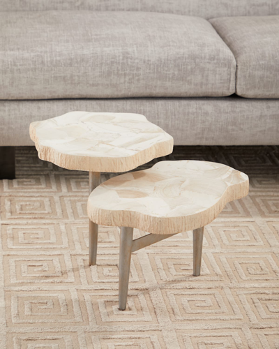 Palecek Fossilized Clam 2-level Accent Table In Neutral