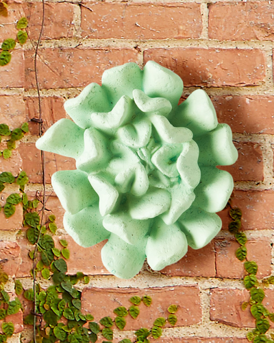 The Phillips Collection Topsy-turvy Succulent Wall Art, Jade In Green