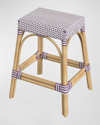 Butler Specialty Co Emery Rattan Counter Stool, 24.5" In White, Purple