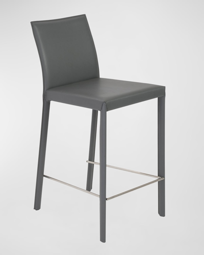 Euro Style Hasina Counter Stool In Gray/stainless