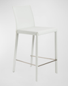 Euro Style Hasina Counter Stool In White/stainless
