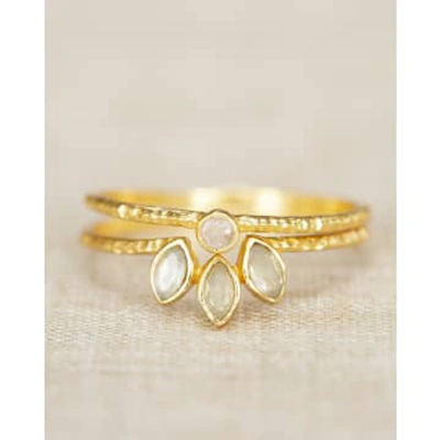 Muja Juma Ring Gilded Nori Preniet Size 56 In Gold