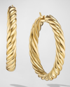DAVID YURMAN SCULPTED CABLE HOOP EARRINGS IN 18K GOLD, 5.5MM, 1.5"L