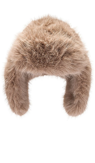 8 Other Reasons Trapper Faux Fur Hat In 棕色