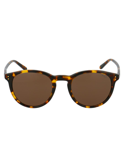 Polo Ralph Lauren 0ph4110 Sunglasses In Brown