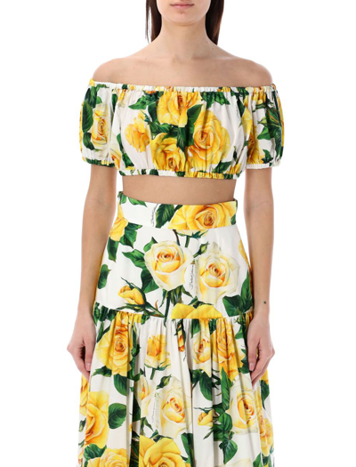 Dolce & Gabbana Bardot-neck Crop Top In Print