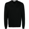Goes Botanical Merino-wool V-neck Jumper In Black