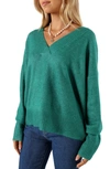 Petal And Pup Palmer V-neck Sweater In Green