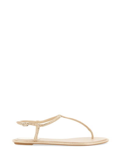 René Caovilla Diana Crystal Flat Sandal 10 In Gold