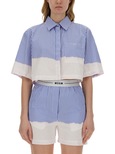 Msgm Logo Embroidered Striped Cropped Shirt In Baby Blue