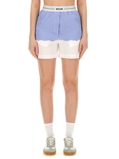 Msgm Shorts With Logo Band In Baby Blue