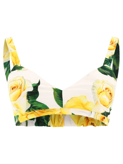 Dolce & Gabbana Rose Printed Bralette In Yellow