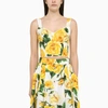 Dolce & Gabbana All-over Print Top Bustier In Yellow