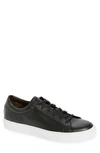 TO BOOT NEW YORK SIERRA SNEAKER