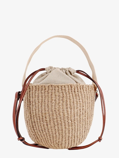 Chloé Small Woody Bucket Bag In Brown