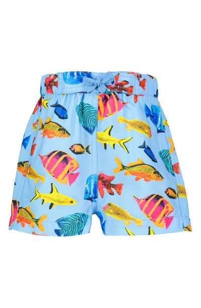 Rachel Riley Babies' Fish Swim Trunks In Blue