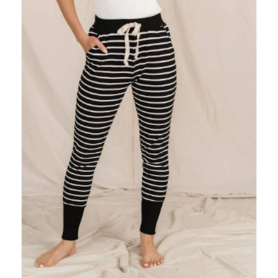 Ampersand Ave Striped Jogger In Black In White