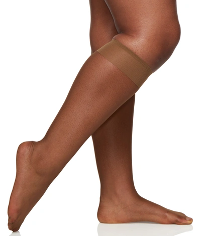 Berkshire Women's Queen Ultra Sheer Knee Highs 3-pack In Brown