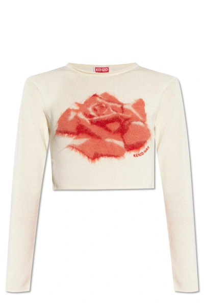 Kenzo Rose-intarsia Cropped Jumper In Blanc