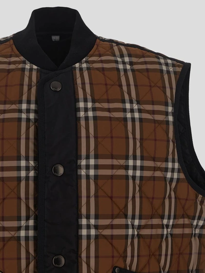 Burberry Jackets In Dark Birch Brown