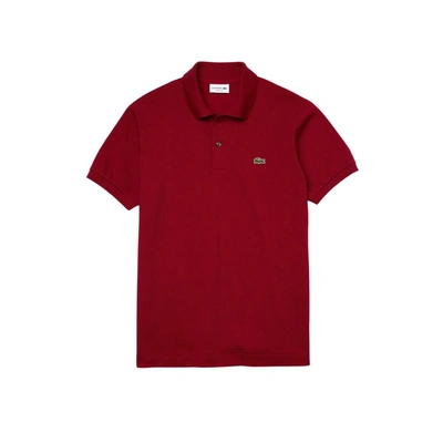 Lacoste Polo In Red