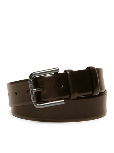 Max Mara Belt In Brown