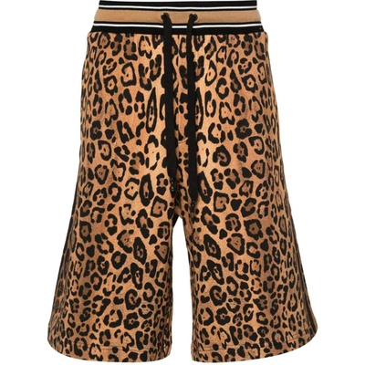 Dolce & Gabbana Cheetah-print Track Shorts In Brown