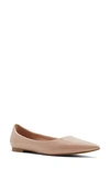 Aldo Stessy Pointed Toe Flat In Bone