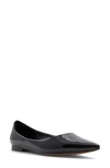 ALDO STESSY POINTED TOE FLAT