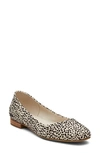 Toms Briella 10020817 Ballet Flat Women 7 Beige Cheetah Print Square Toe Khd1485 In Animal Print