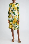 Dolce & Gabbana Rose Print Organza Midi Dress In Rose Gialle