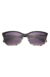 TED BAKER 56MM RECTANGULAR SUNGLASSES