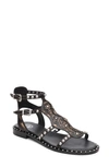 Ash Plaza Cage Sandal In Black