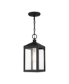 Livex Nyack 1 Light Outdoor Pendant Lantern In Black With Brushed
