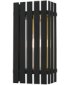 Livex Greenwick 1 Light Outdoor Wall Lantern In Black With Satin Brass