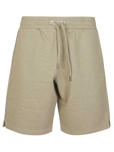 Ami Alexandre Mattiussi Cotton Shorts In Heather Sage/366