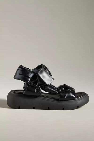 Seychelles Light Up Platform Sandals In Black