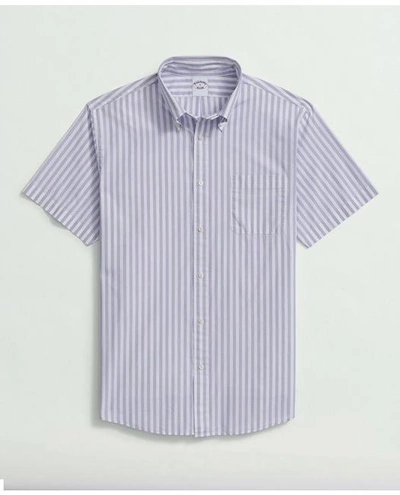 Brooks Brothers Friday Shirt, Short-sleeve Poplin Butcher Striped | Lavender | Size Xs
