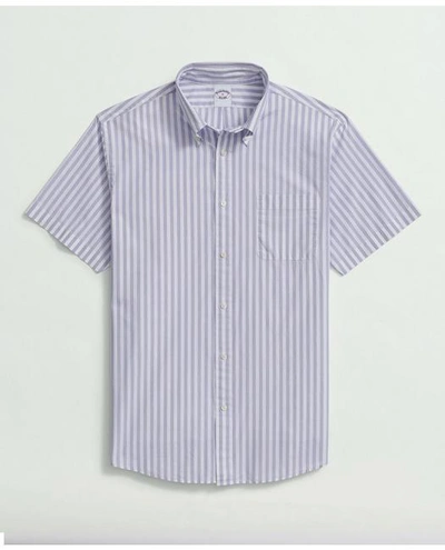 Brooks Brothers Friday Shirt, Short-sleeve Poplin Butcher Striped In Lavender