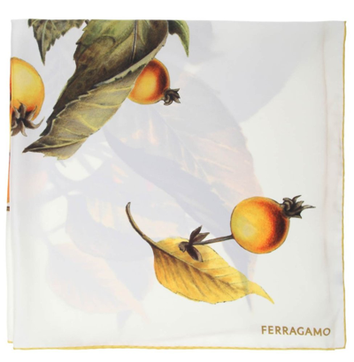 Ferragamo Salvatore  Persimmon Printed Scarf In White