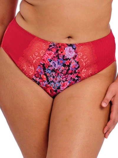 Elomi Morgan Hi-cut Brief In Sunset Meadow