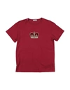 Dolce & Gabbana Babies'  Toddler Boy T-shirt Burgundy Size 7 Cotton In Red