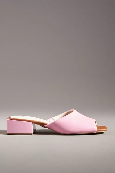 Cecelia New York,cecelia Ny Cecelia New York Olivia Mules In Pink