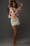 Dolan Left Coast Flower Appliqué Sheer Tee In Beige